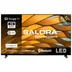 Salora 32HGS3000