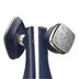 Philips One Turn GC215/20 Blauw