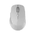 Rapoo M300 Silent Multi-mode Draadloze Muis Donkergrijs
