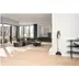Miele Triflex HX3