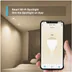 TP-Link Smart Wi-Fi Spotlight Dimmable 2-Pack