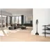 Miele Triflex HX3 Plus