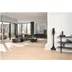 Miele Triflex HX3 Plus Aqua