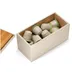 Sjostrand SJCC-BE Beige
