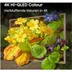 Hisense Canvas TV 65S7S (2026)