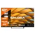 Salora 43QFG6500