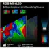 Hisense RGB MINI LED100UXQ (2025)