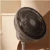 Duux Whisper Fan 3 DXCF220 Grijs
