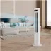 Duux Elevate Smart Wit