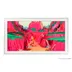 Samsung Verwisselbare lijst 65 inch The Frame Modern – Wit (2021-2025) Wit