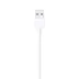 Apple Lightning to USB Cable (1m)