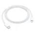 Apple USB-C to Lightning Cable (1m)