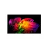 LG OLED 4K 77W69 (2026)