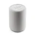 Audio Pro G10 Smart Assistant Multiroom Grijs