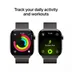 Apple Watch Series 11 GPS + Cellular 46mm Slate Titanium Case met Slate Milanese Loop - M/L Titanium