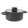Berghoff BFF kookpan+deksel 20x9cm St +