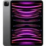Apple iPad Pro 11 (2022) 1TB WiFi Spacegrijs