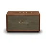 Marshall Stanmore III Bruin