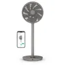 Duux SMART Whisper Flex 2 Grijs