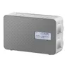 Panasonic RF-D30BTEG Wit