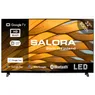 Salora 32HGS3000