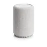 Audio Pro G10 Smart Assistant Multiroom Grijs
