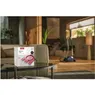 Miele XL-Pack FJM HyClean Pure