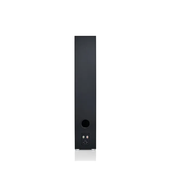 Canton Smart Soundbox 3 - Multiroom Speaker - Zwart