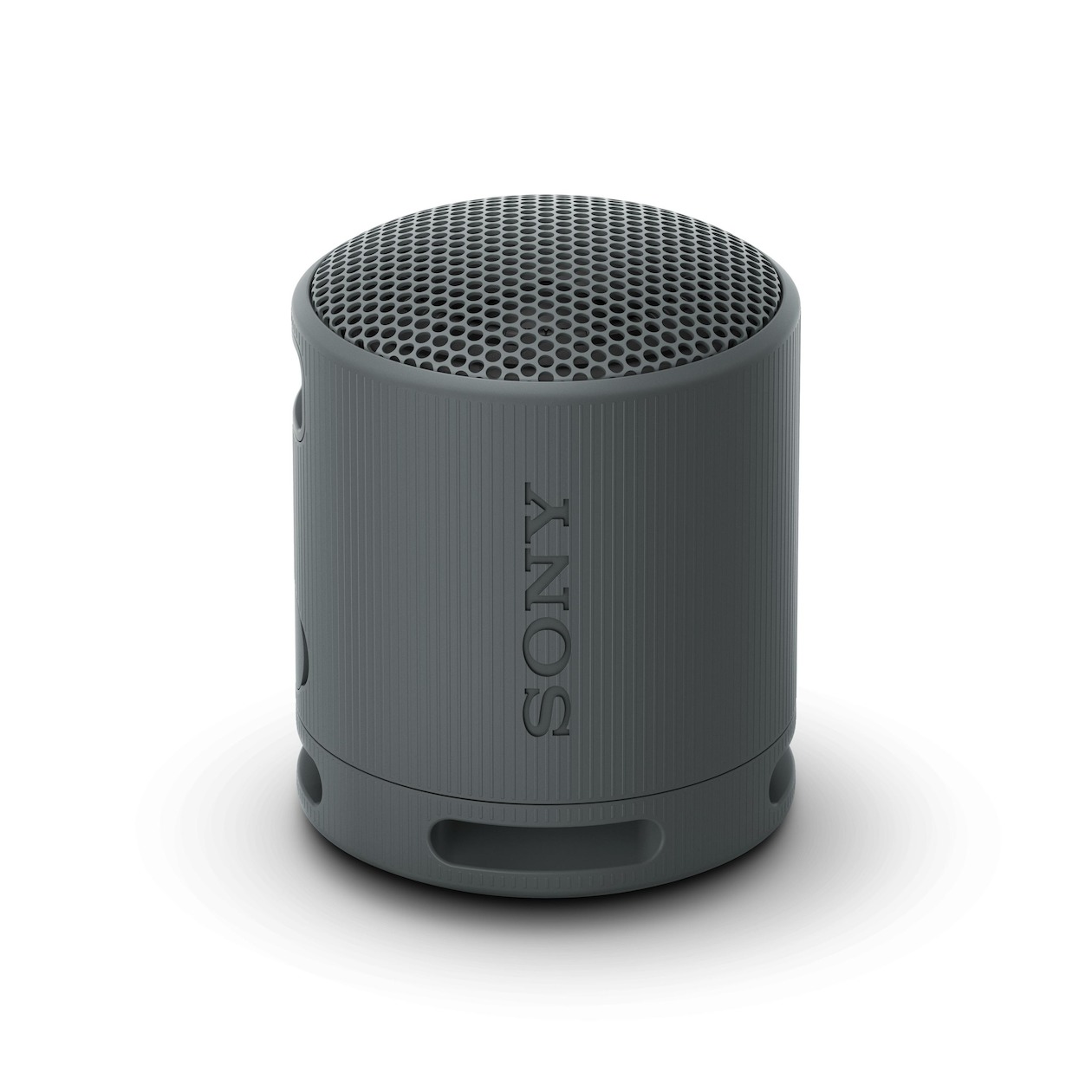 Sony SRS-XB100 Bluetooth speaker Zwart afbeelding
