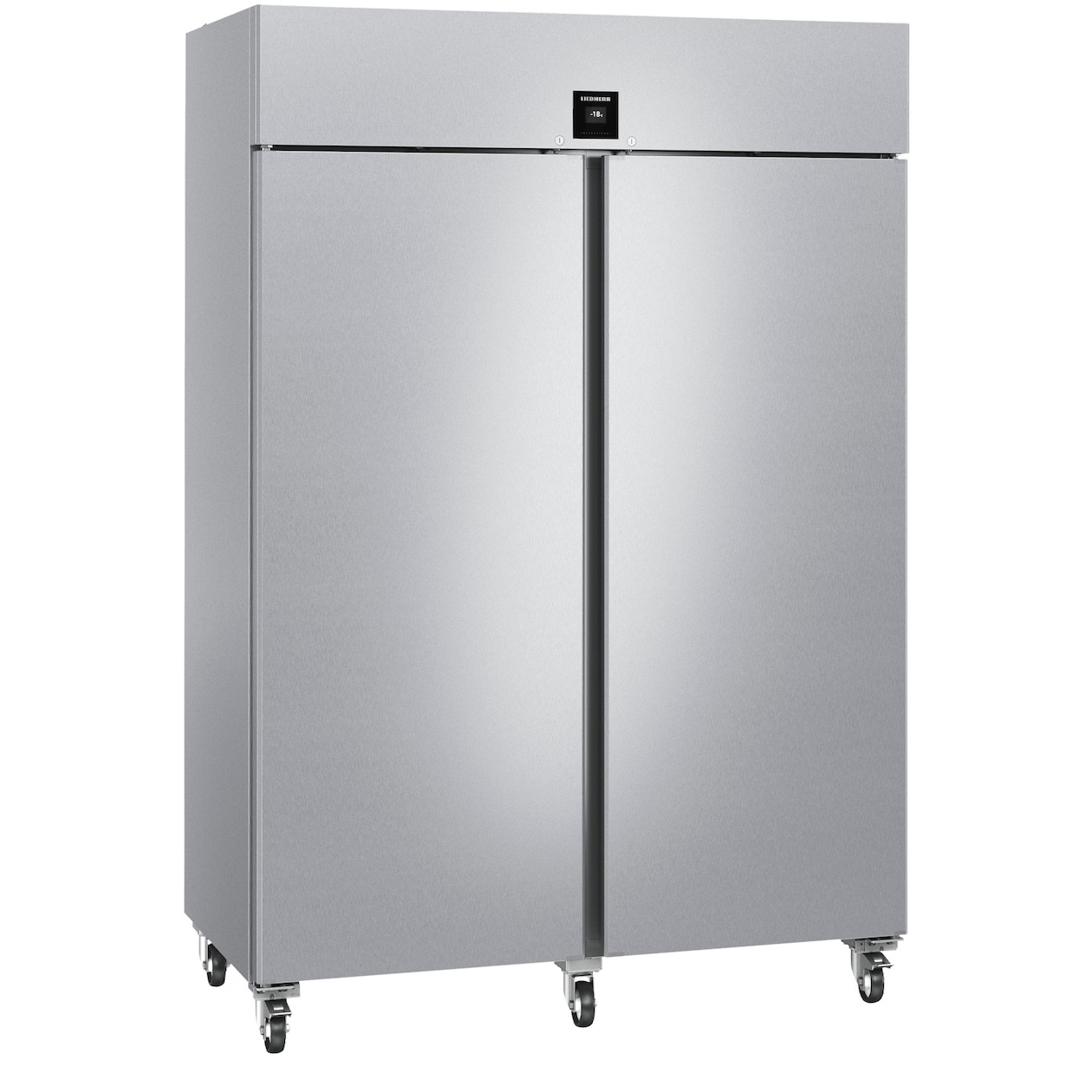 Liebherr FFPSvh 1402-40 Vrieskast Zilver