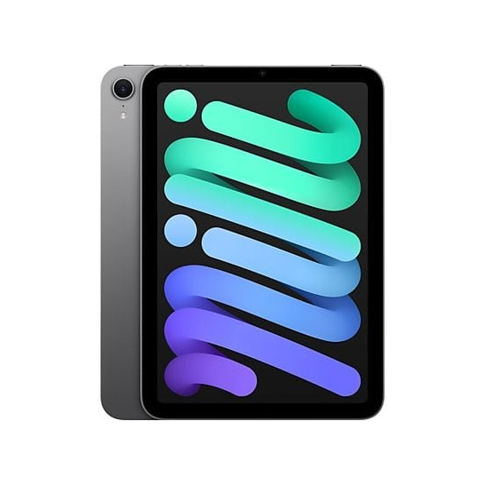 Apple iPad mini (2024) 512GB WiFi + 5G Tablet Grijs afbeelding