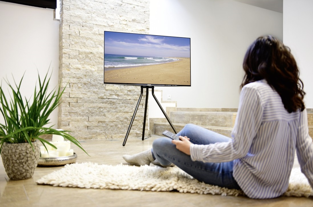 Hama tv-stand schildersezel | te koop bij Expert
