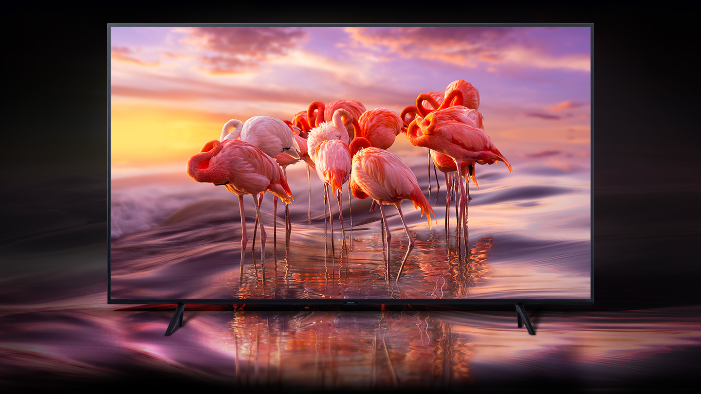 Samsung QLED | Te koop bij Expert KOOP NU BIJ WD-SAT