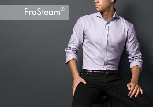 AEG ProSteam