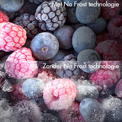 No frost technologie