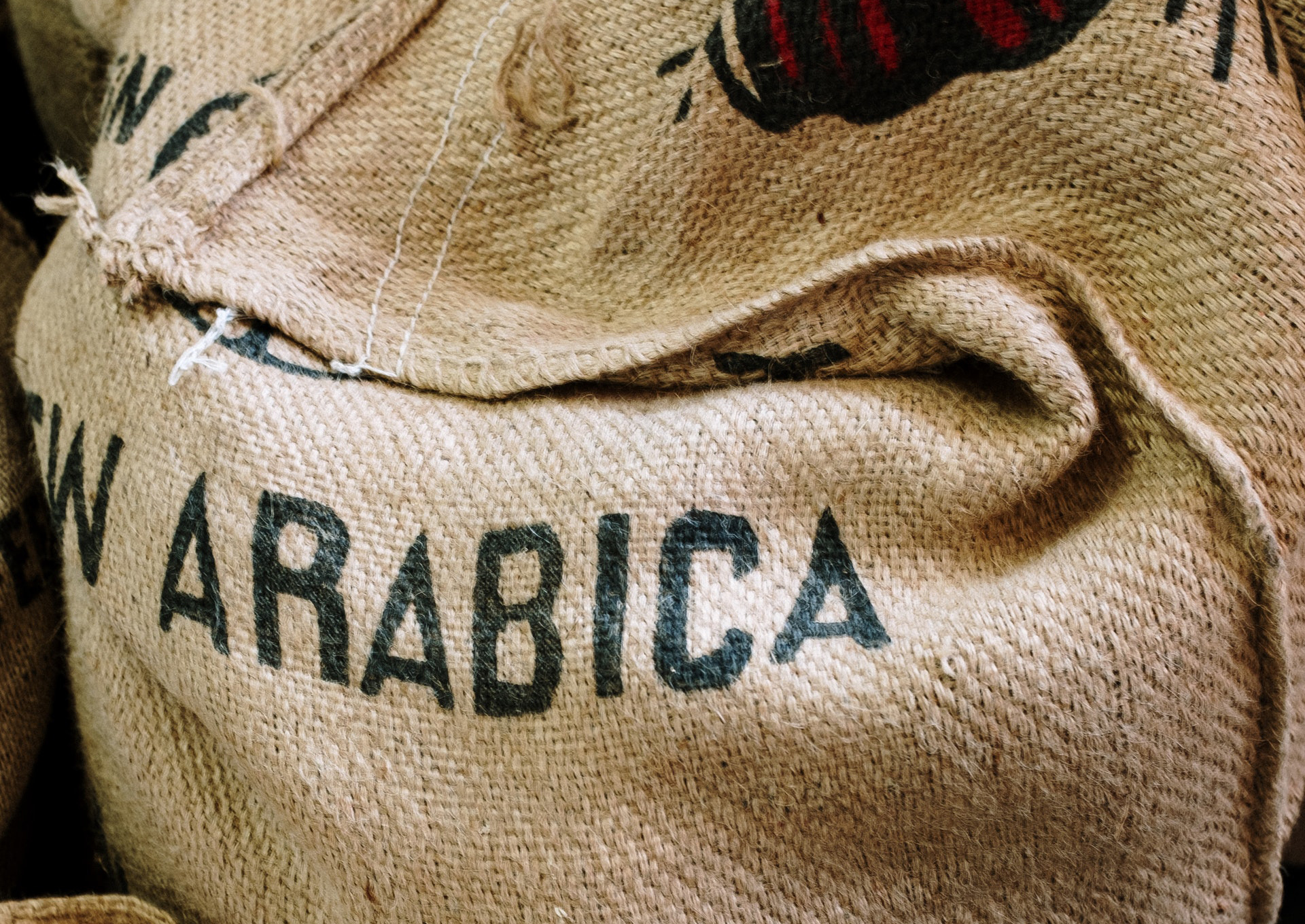 Arabica