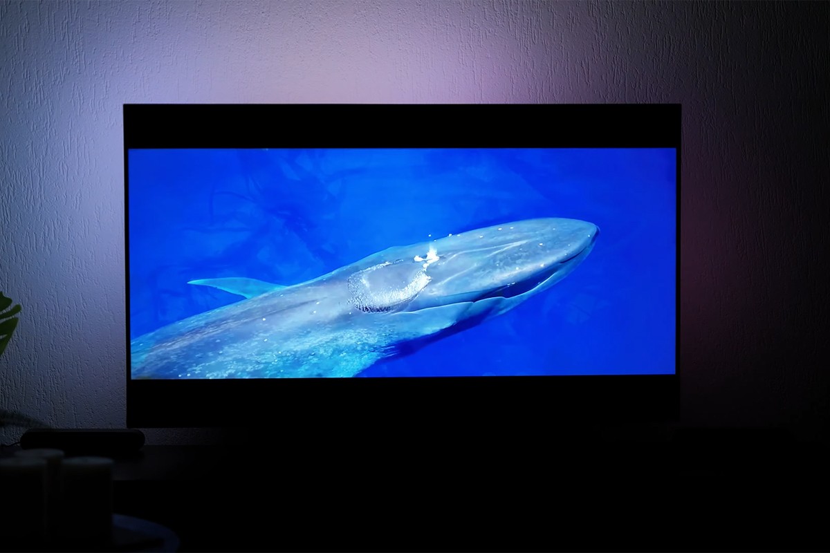 Philips The One 2025 Philips The One 2025 die een natuurdocumentaire afspeelt met daarop een groot beeld van een walvis onder water in helderblauw water, terwijl aan de muur achter de tv zachte paarse sfeerverlichting zichtbaar is die afkomstig is van Ambilight.