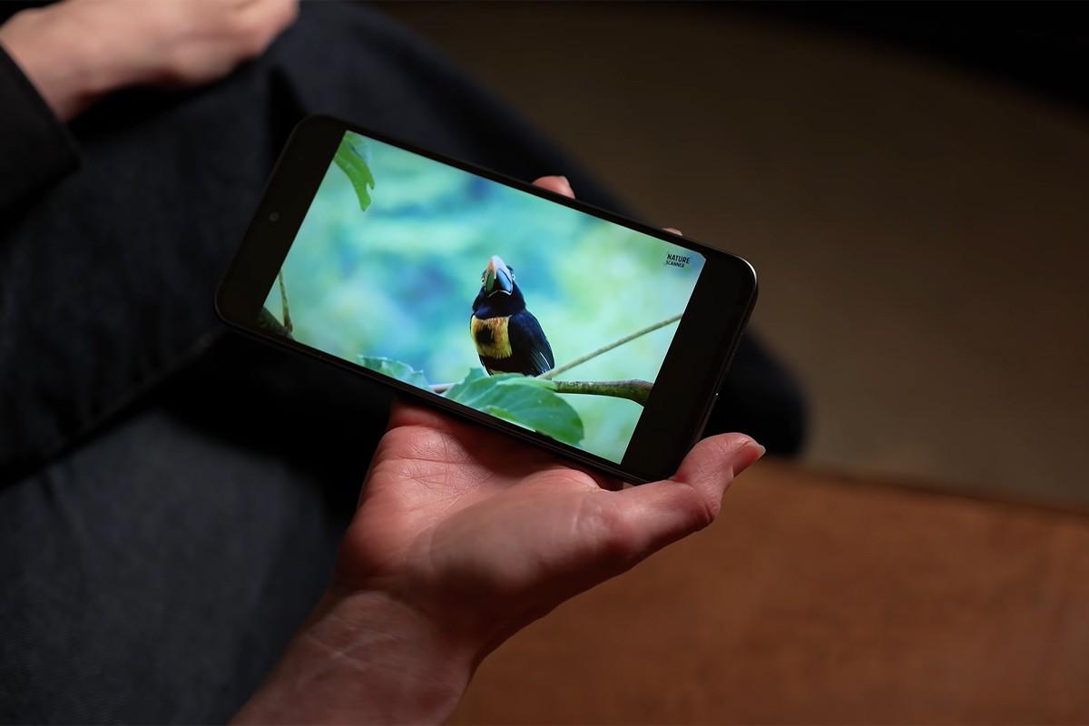 Persoon houdt Samsung Galaxy A57 horizontaal vast terwijl er een natuurvideo wordt afgespeeld. Op het scherm is een kleurrijke vogel te zien die op een tak zit.